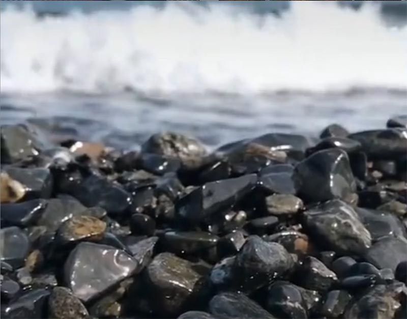 Шунгинт на пляжах озера Алакооль