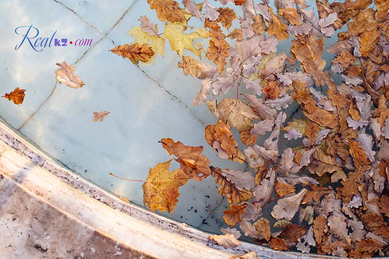 Грязные бассейны