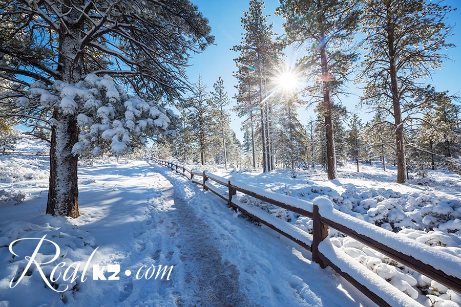 Боровое Зимой