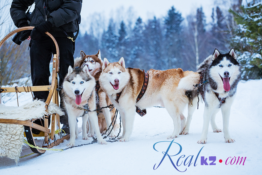 Боровое зимой