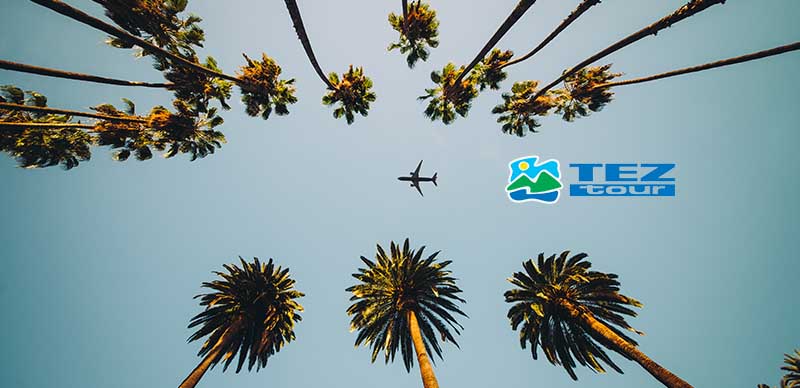 На самолете в путешествие на юг